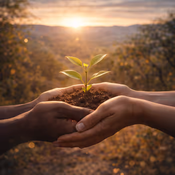 Hands nurturing a young plant, symbolizing regenerative responsibility and long-term care.